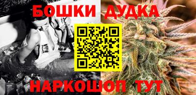 СК Обь