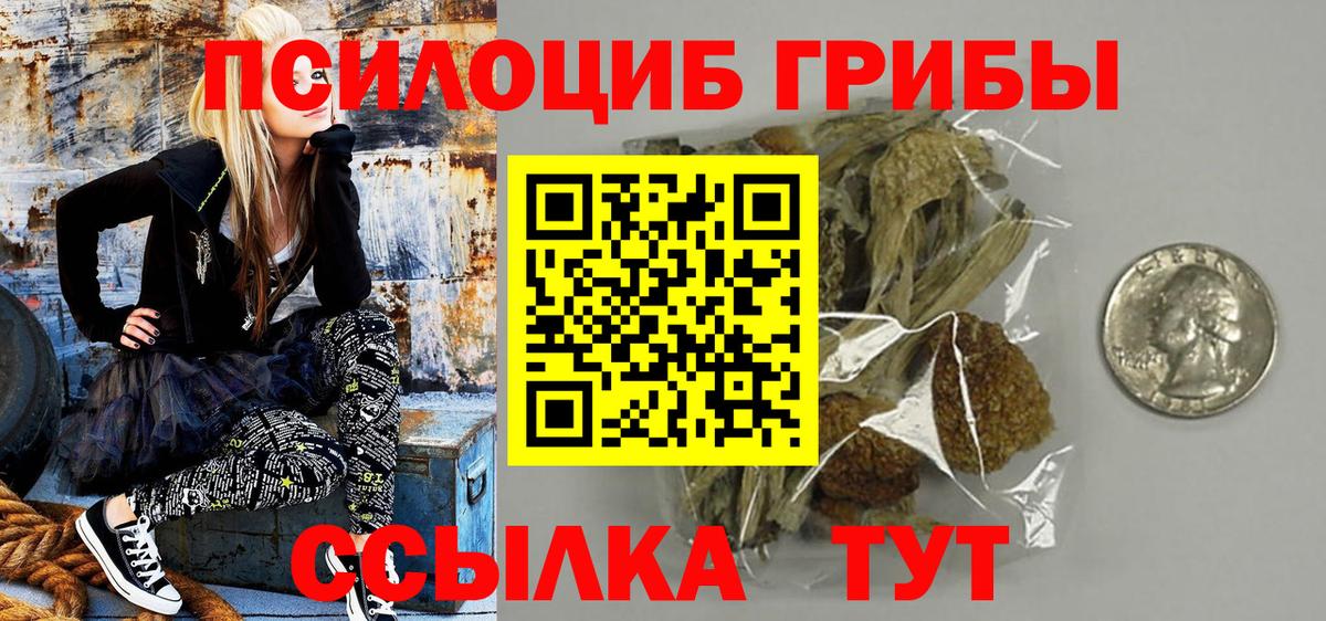 Псилоцибиновые грибы Psilocybe Торжок