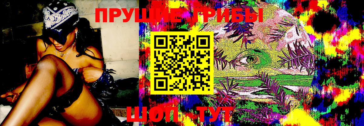 Торжок  Псилоцибиновые грибы мухоморы  Вход с VPN 